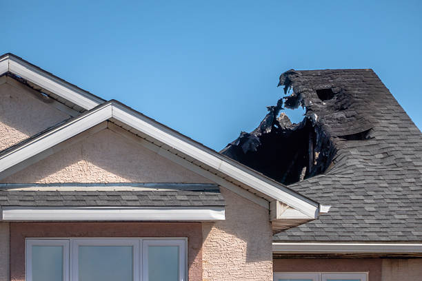 Licensed Content Restoration service in Dover, FL - Fire Damage Biloxi